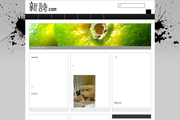 Site using Youtube-video-gallery plugin