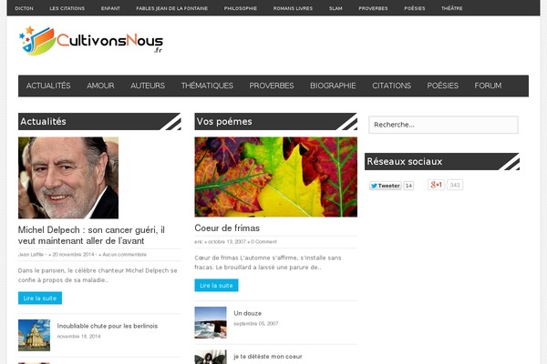 Piemont theme site design template sample