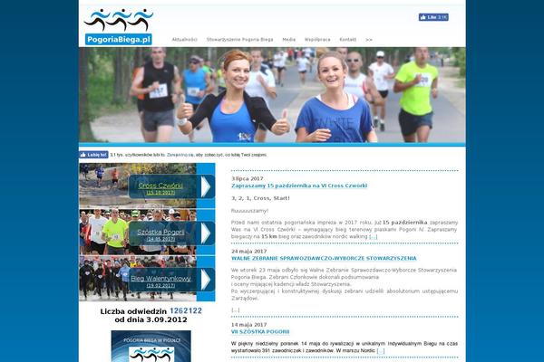 Site using WordPress Hit Counter plugin