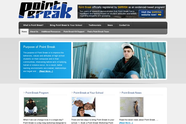 Enterprise theme site design template sample