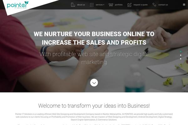pointeritsolutions.com site used Stuts2