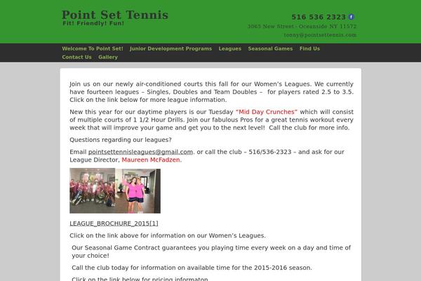 Smallbiz theme site design template sample