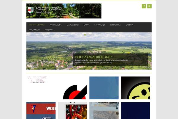 Magazino theme site design template sample