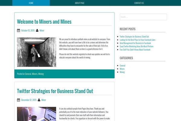 BBird Under theme site design template sample