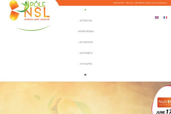 Site using Chimpy Lite - MailChimp WordPress Plugin plugin