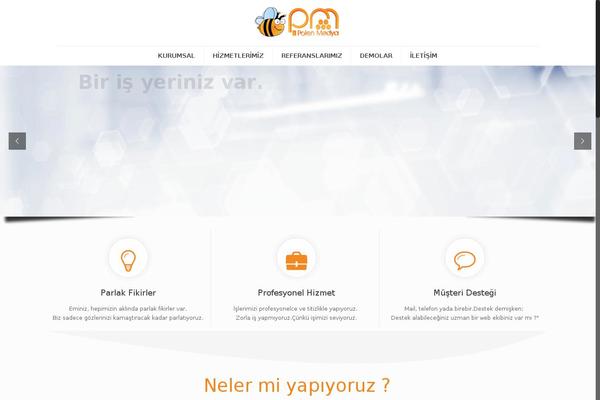 polenmedya theme websites examples