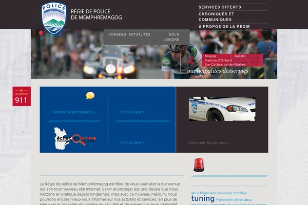Site using Category Posts Widget plugin