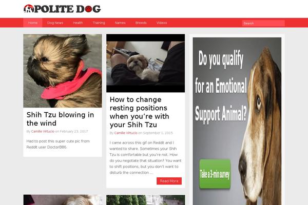 MasterBlog theme site design template sample