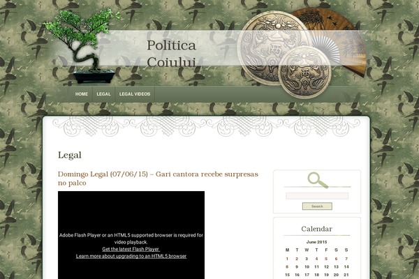 politicacoiului.info site used Dyne