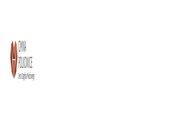 Site using Google Language Translator plugin