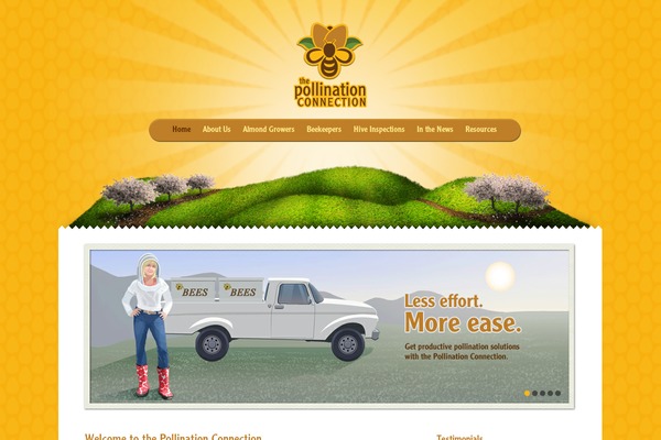 Site using Custom Facebook Feed plugin