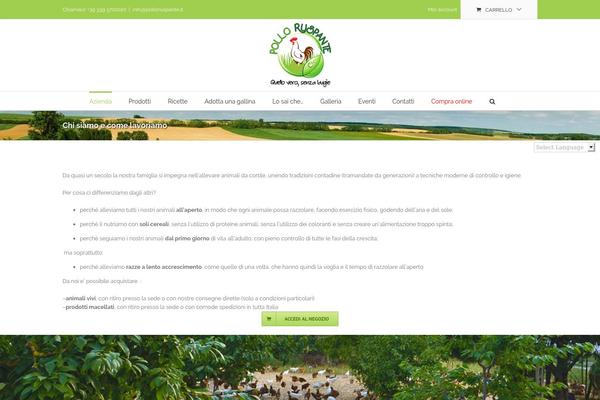 Site using Aksh Mailchimp Widget plugin