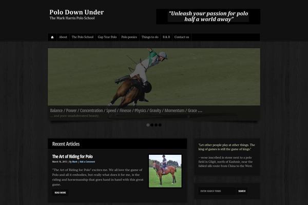 WP-Mysterious 1.04 theme site design template sample