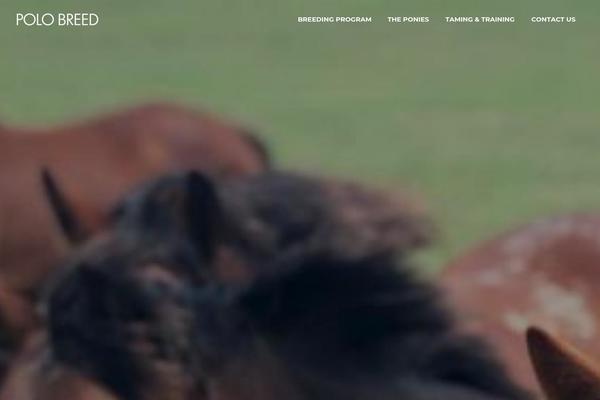 Evently theme site design template sample