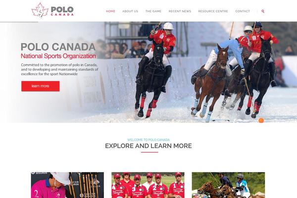 Vision_wp theme site design template sample