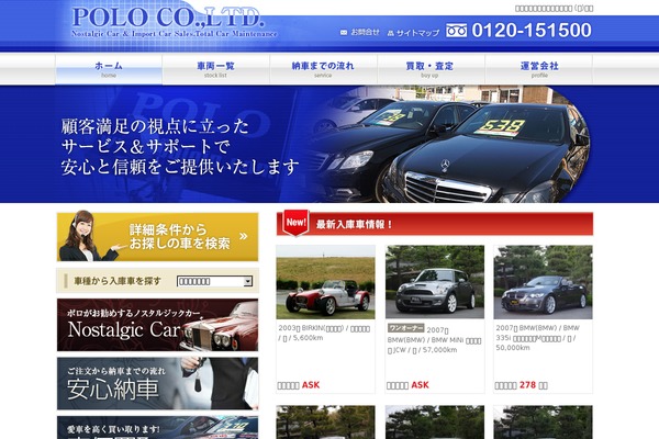 Polo theme site design template sample