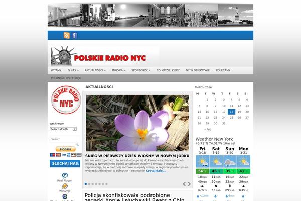 Sonic theme site design template sample