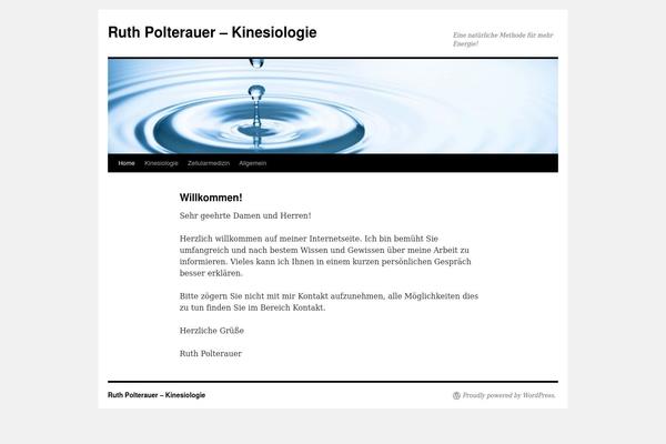 Twenty Ten theme site design template sample