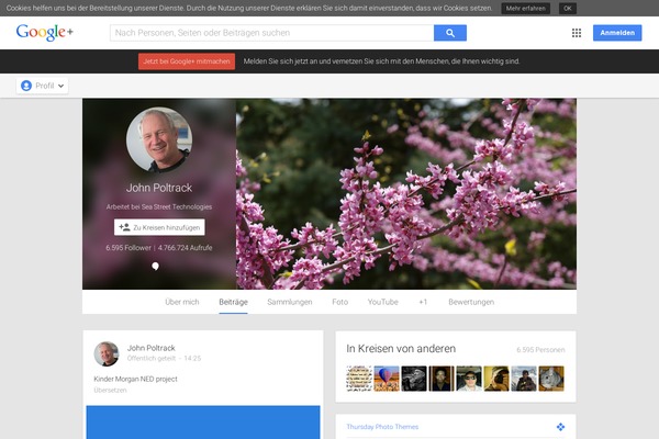 Neve theme site design template sample