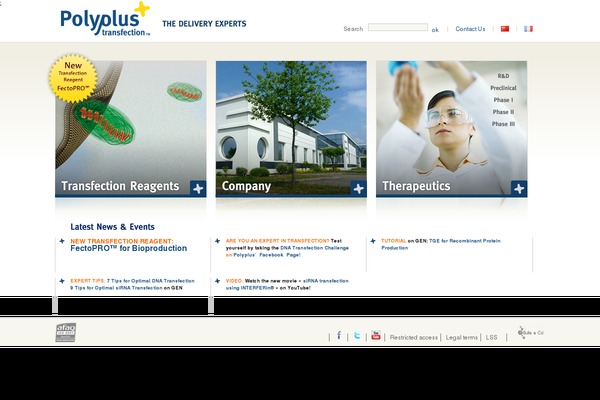 Site using Autoptimize plugin