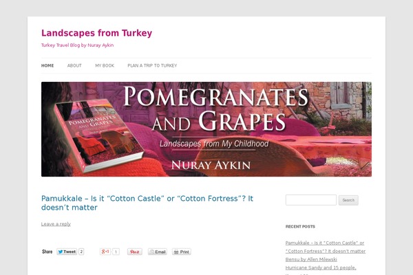 Site using Decent Comments plugin