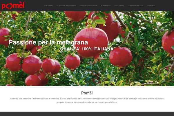 Massive-dynamic theme site design template sample