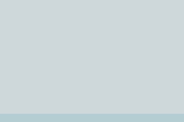 Basic theme site design template sample