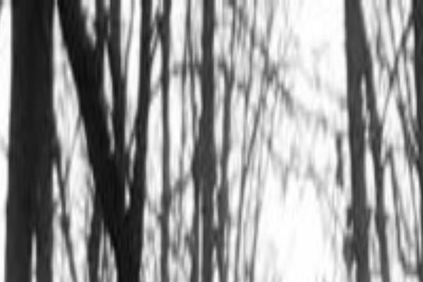 Site using WP Biographia plugin