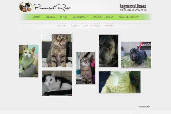 Animal House theme site design template sample