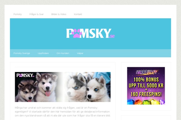 Lifestyle Pro theme site design template sample
