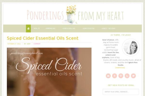 Site using Genesis Slider plugin