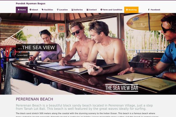 iPin theme site design template sample