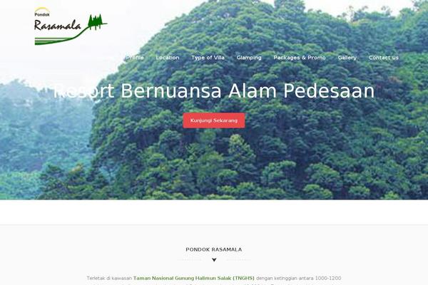 Sensible WP theme site design template sample