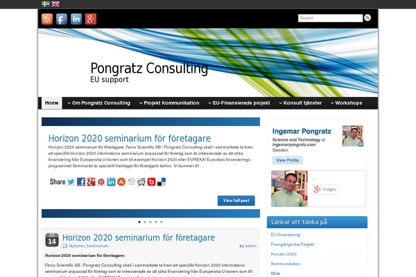 Site using Language Bar Flags plugin
