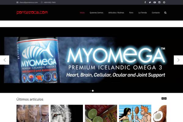 Site using Twitter Widget with Styling plugin