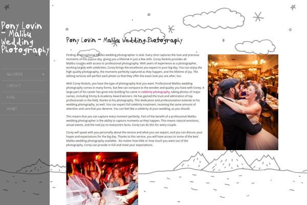 Widescreen theme site design template sample