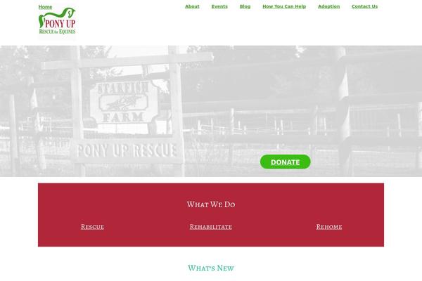Site using Blog-designer-for-post-and-widget plugin