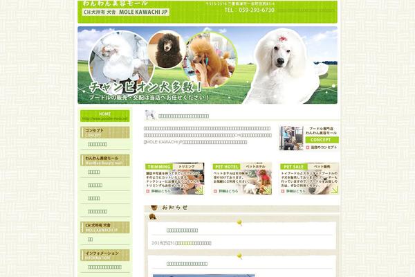 Basic-child theme site design template sample