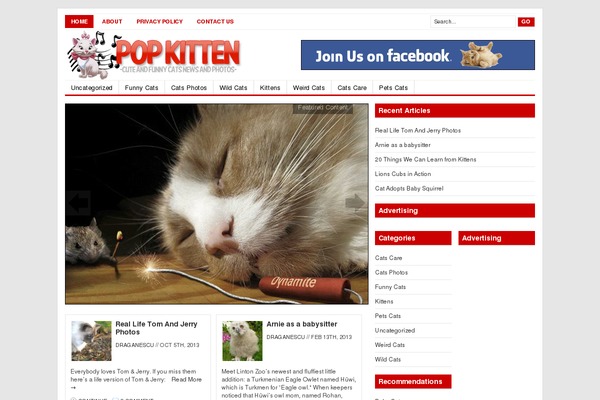 Site using Ultimate-author-box plugin