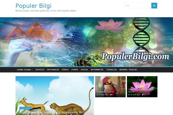 ColorMag theme site design template sample