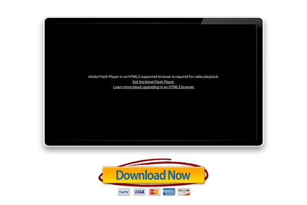 Sales Press Pro theme site design template sample