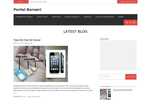 eMag theme site design template sample
