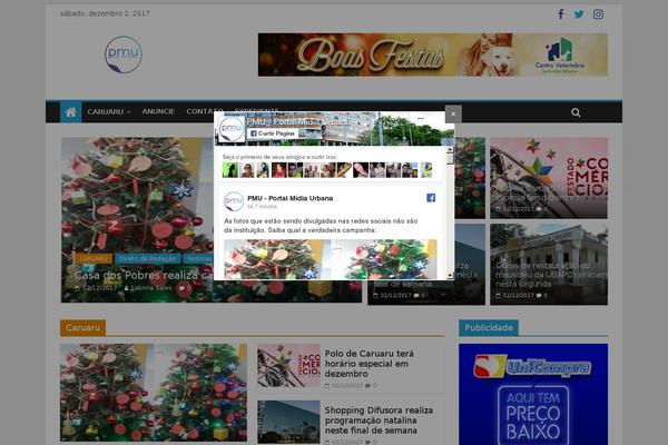 Site using Sneeit-framework plugin