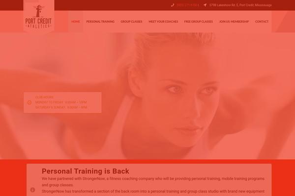 VEDA theme site design template sample