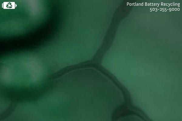 portlandbatteryrecycling.com site used Recycling