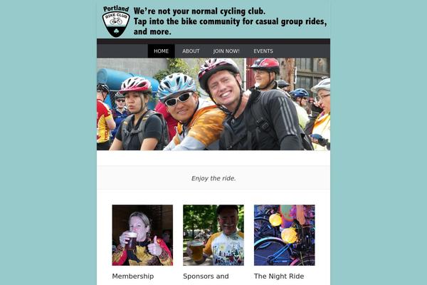 Catch Everest theme site design template sample