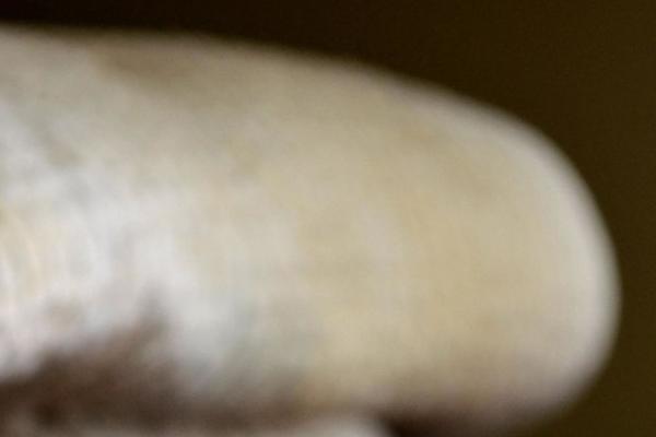 907 (NineZeroSeven) theme site design template sample