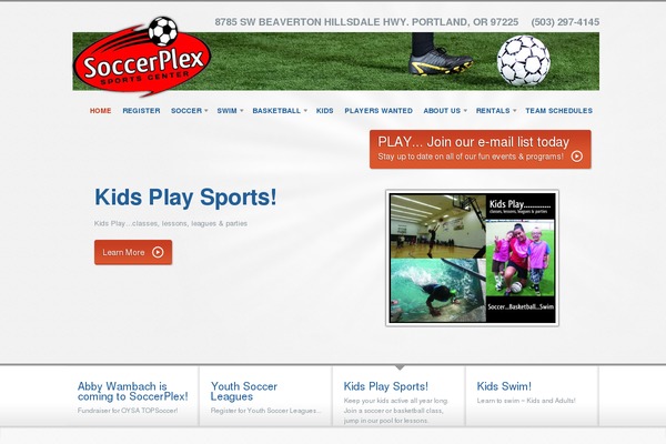 biznizz-child theme websites examples