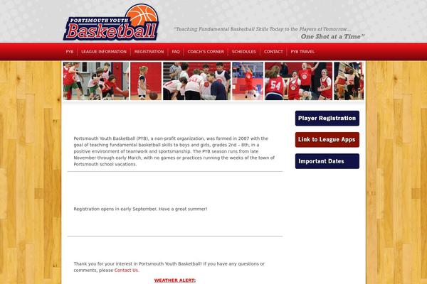 PYB theme websites examples