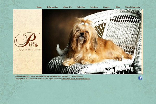 poshpetportraits.com site used Chicory